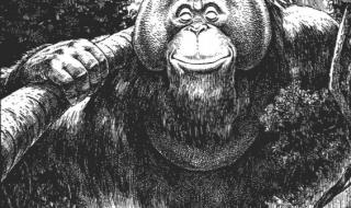 小恐龙阿贡 小恐龙阿贡